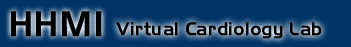HHMI Cardiology